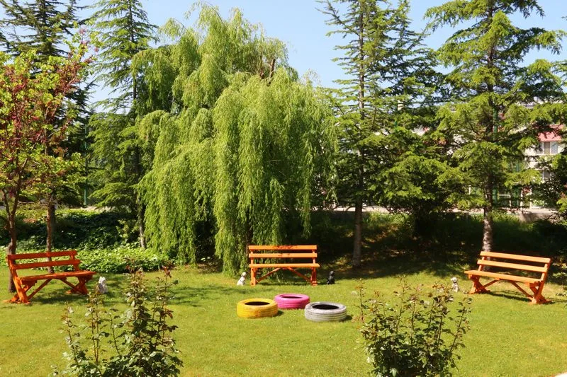 Bolu-abant Öğrenci Yurdu — fotoğraf